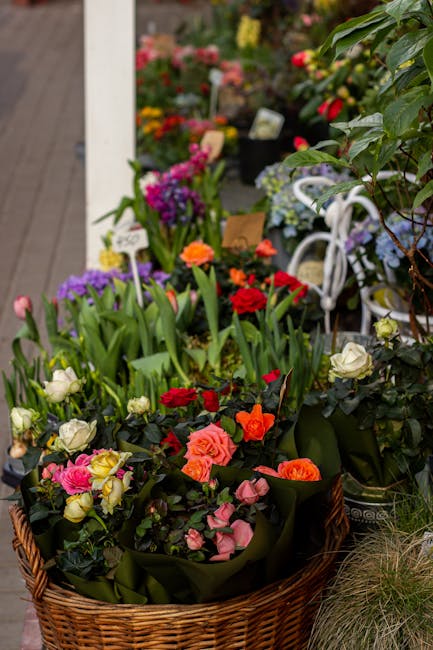 A woven wicker basket filled with fresh, vibrant flowers including pink, orange, and white roses, along with purple and white blossoms, all arranged with green foliage. The flowers exhibit healthy, lu