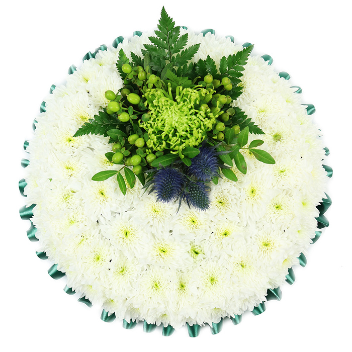 This image shows a beautifully composed circular memorial cushion, photographed straight from above so every detail is clearly visible against a clean white backdrop. The main body of the tribute is formed from countless white spray chrysanthemums, each bloom touching the next so tightly that they create a velvety, unbroken surface. Their petals are fine and gently curled, with small greenish centres that lend a quiet, natural brightness to the otherwise snowy expanse. Around the rim, an emerald green satin ribbon is meticulously folded into overlapping pleats, creating a scalloped border that frames the flowers and gives the cushion a tailored, finished appearance. Positioned towards the top of the circle is a striking mixed cluster of green flowers and foliage. A lime green spider chrysanthemum takes centre stage, its long, delicate petals radiating outwards like fine strands of silk. Surrounding it are clusters of smooth, apple-green Hypericum berries and richly toned leaves, including airy fern fronds that soften the shape and add movement. Nestled among this greenery, two Scottish thistles in a deep, dusty blue-purple tone provide strong visual contrast; their round, spiky flower heads and stiff bracts bring an intriguing texture and evoke a sense of tradition and Scottish pride. The arrangement feels ordered yet organic, a thoughtful design that could easily be imagined resting in a quiet chapel or family home near Bounds Green. It offers a message of purity, remembrance, and enduring love, ideal for funeral services, memorial gatherings, or as a respectful tribute delivered locally by experienced florists.